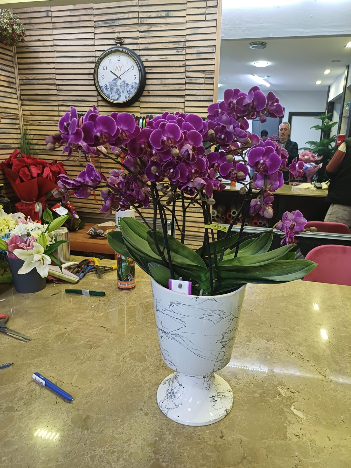 Çimen Çiçekçilik